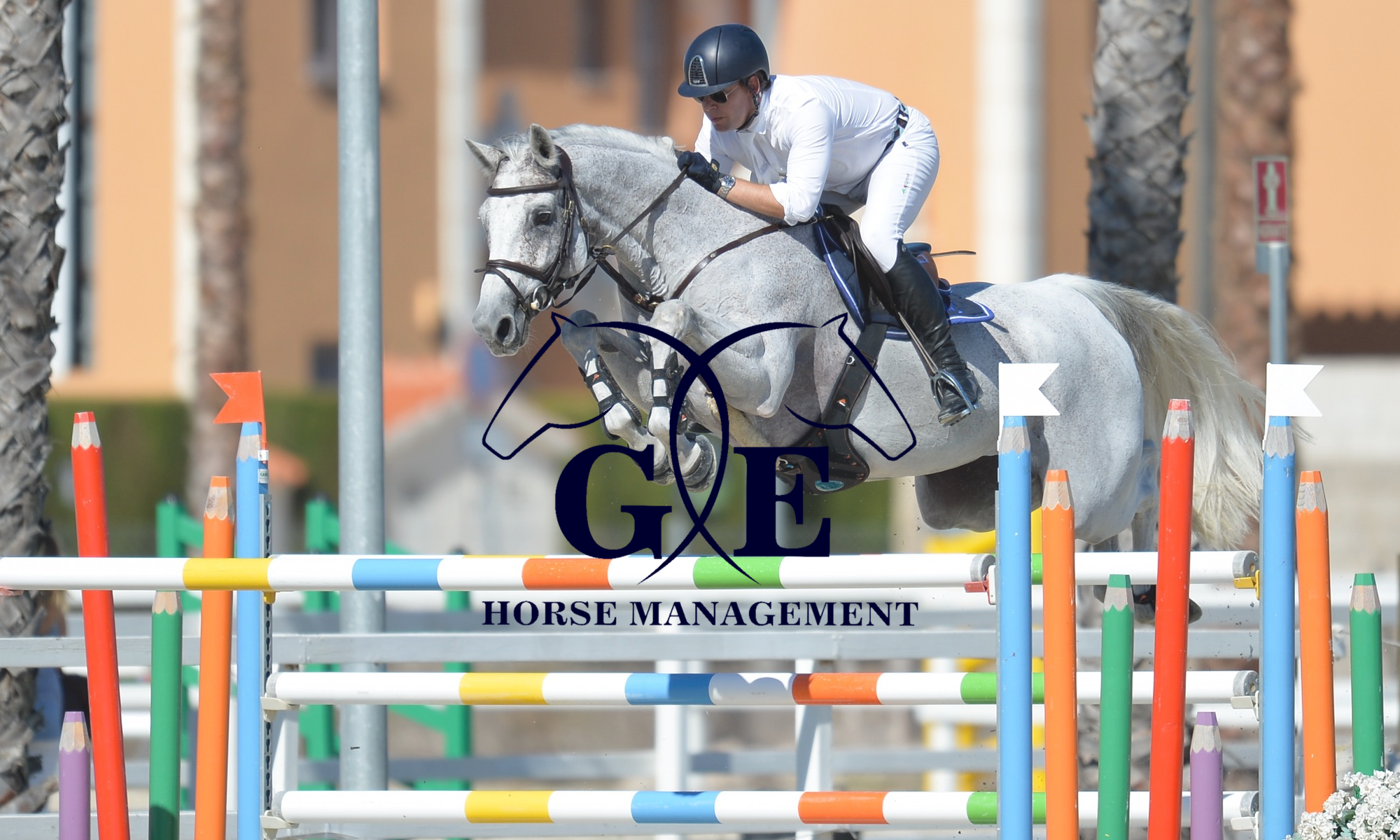 GE Horse Management